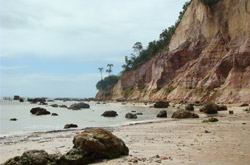 Apresenta&ccedil;&atilde;o